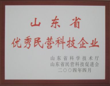 山東省優(yōu)秀民營科技企業(yè)